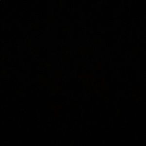 Meet your Posher, Rosa